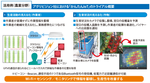 アグリビジョン社における「かんたんIoT」のトライアル概要