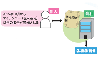 マイナンバー交付図式